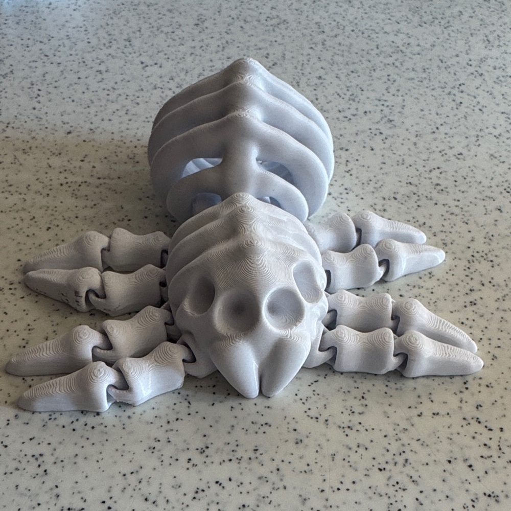 3D Printed Articulated Spider Model
